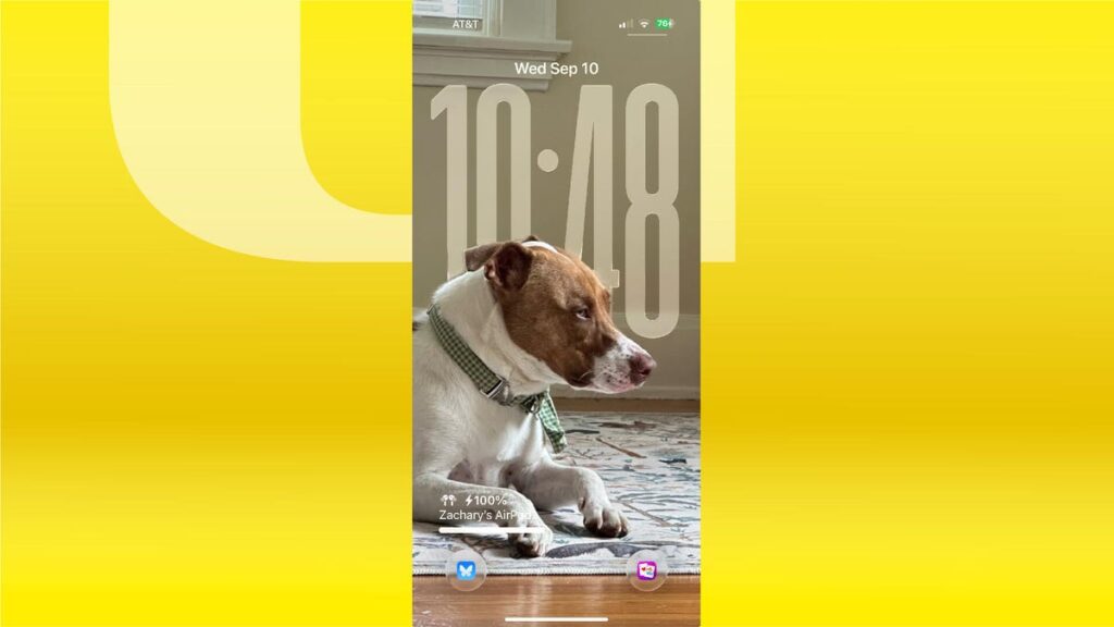 Dog resting on a rug.
